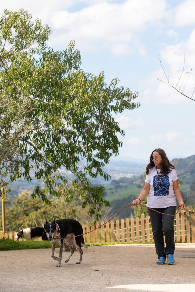 Entorno Hotel para perros en Cangas de Onís La Torre Canina